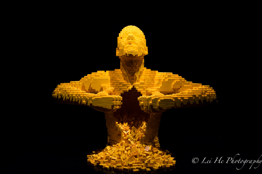 The-Art-of-the-Brick-13