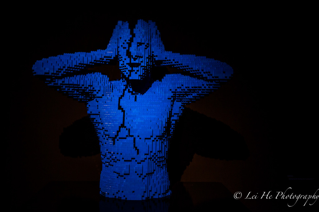 The-Art-of-the-Brick-Cracked